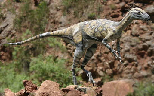 Micropachycephalosaurus Micropachycephalosaurus