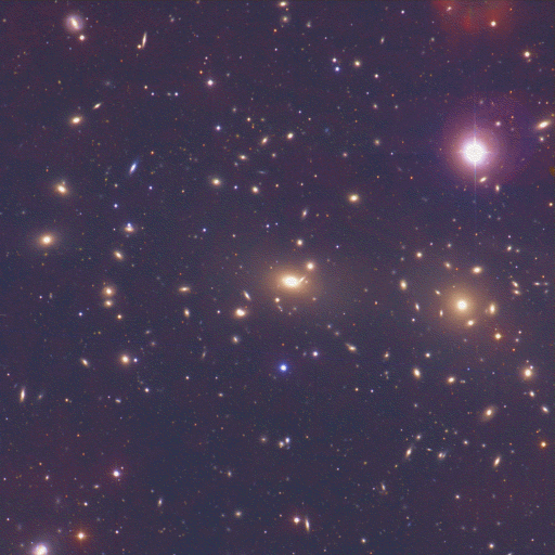 The Coma Cluster of Galaxies