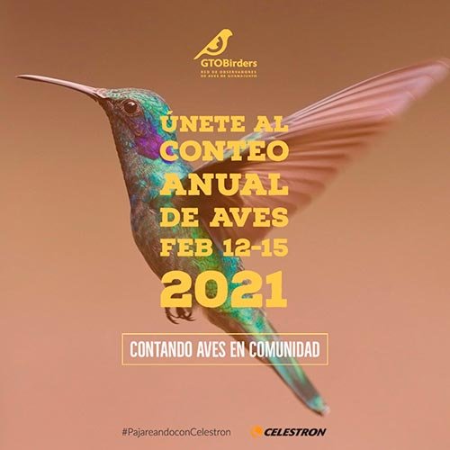 Gran Conteo Anual de Aves Gran Conteo Anual de Aves