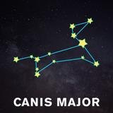 Constelación Canis Mayor en diciembre