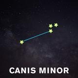 Constelación Canis Minor en diciembre
