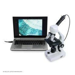 Celestron - Cámara Digital HD para microscopio