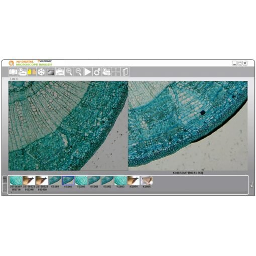 Imagen digital con cámara HD para microscopio